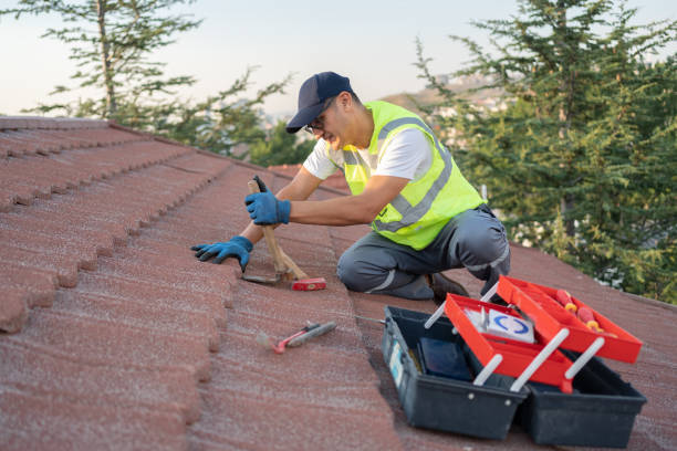 Best Roof Gutter Cleaning  in Warm Springs, OR